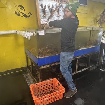 Free Range Fish & Lobster - Seafood Markets Near Me - Portland, Maine Free Range Fish & Lobster - Seafood Markets Near Me - Portland, Maine