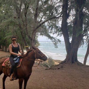 CJM Stables - Horseback Riding Near Me