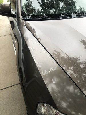 Photo of Phoenix Auto Detailing - Aurora, CO, US. Before