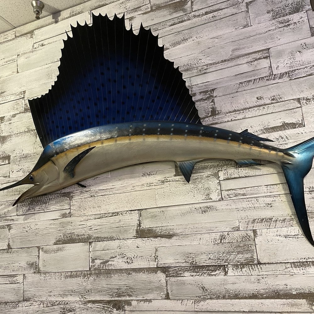 Pirate's Cove Restaurant - Marlin or sail fish - Seafood Near Me - Chesapeake, Virginia Pirate's Cove Restaurant - Marlin or sail fish - Seafood Near Me - Chesapeake, Virginia