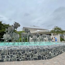 North Carolina Aquarium - Fort Fisher - North Carolina Aquarium