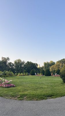 Public Garden by null