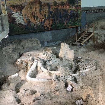 Waco Mammoth National Monument - Museums Near Me - Waco, Texas