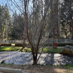 Pioneer Park - Horseshoe pits