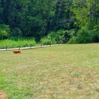I.C. King Dog Park - Grassy area - Dog Parks Near Me - Knoxville, Tennessee I.C. King Dog Park - Grassy area - Dog Parks Near Me - Knoxville, Tennessee