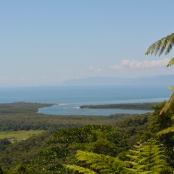 Voya Bird Travel - Daintree National Park, Australia