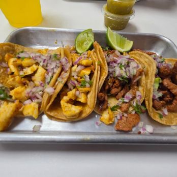 The Spot Taco Shop - 2 Pollo mini tacos + 2 carne asado - Tacos Near Me - Vista, California The Spot Taco Shop - 2 Pollo mini tacos + 2 carne asado - Tacos Near Me - Vista, California