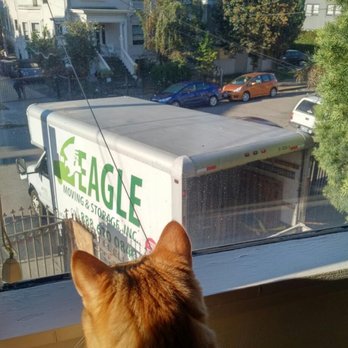 Eagle Moving and Storage - My friend Miki sent me this picture of Eagle helping her move on Oct. 13, 2018. Eagle movers to the rescue! :) - Movers Near Me - San Bruno, California