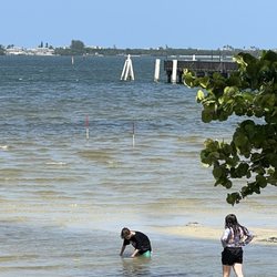 Indian Riverside Park