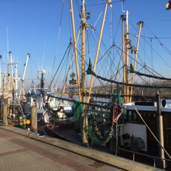 Hafenkieker Greetsiel - Krabbenkutter im Hafen