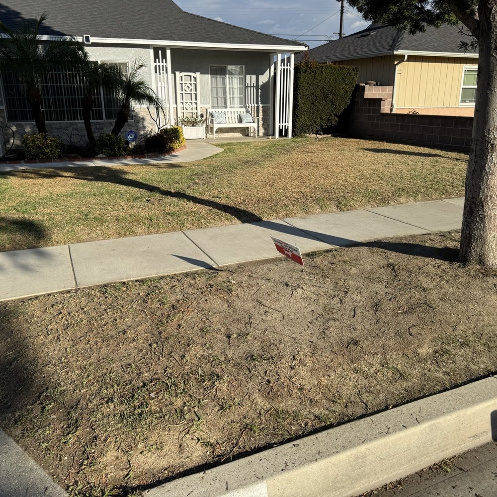 Jesus Lawn Maintenance - Before - Lawn Services Near Me - Bellflower, California