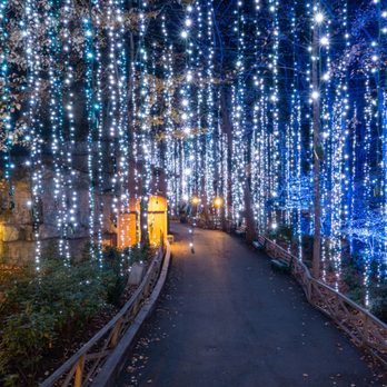 DM Pantry - a pathway lined with christmas lights - American Near Me - Pigeon Forge, Tennessee DM Pantry - a pathway lined with christmas lights - American Near Me - Pigeon Forge, Tennessee
