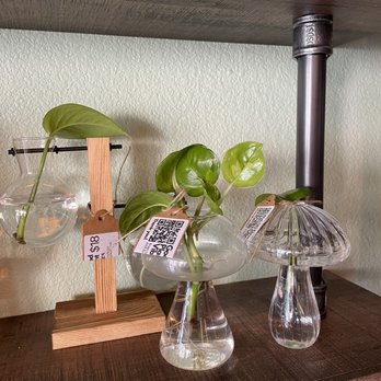 Pressed + Flower - Coffee & Tea Near Me - Azusa, California Pressed + Flower - Coffee & Tea Near Me - Azusa, California