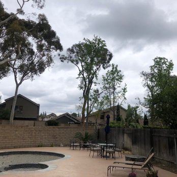 Elenes Tree Service - Tree Services Near Me - Rialto, California Elenes Tree Service - Tree Services Near Me - Rialto, California