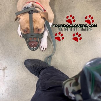 fourdoglovers - Pet Training Near Me - Upper Marlboro, Maryland