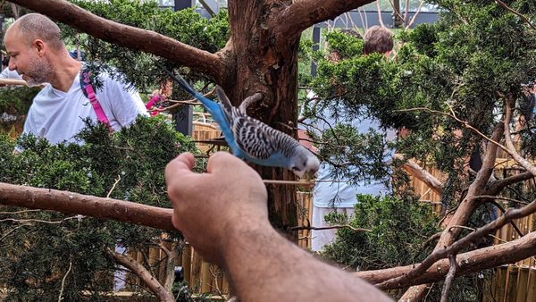 ESSEX COUNTY TURTLE BACK ZOO - Updated December 2024 - 1492 Photos