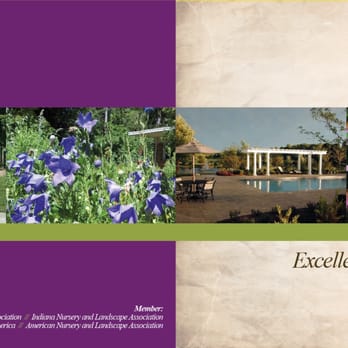 Market TING - Web Design Near Me - Indianapolis, Indiana Market TING - Web Design Near Me - Indianapolis, Indiana