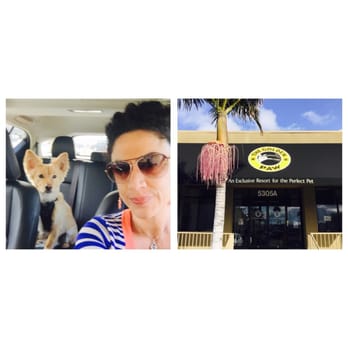 Paw Commons - Happy customer - Pet Sitting Near Me - San Diego, California Paw Commons - Happy customer - Pet Sitting Near Me - San Diego, California