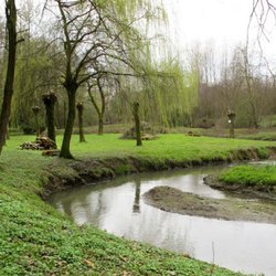 Parco