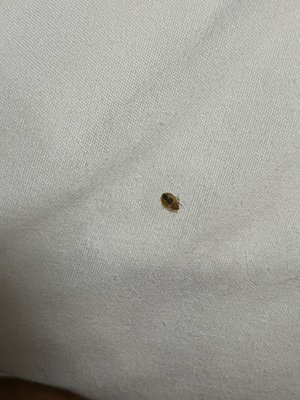 1st Interstate Inn Montrose