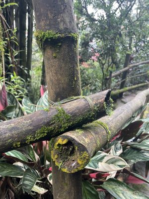 Tam-awan Village by null