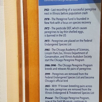Peggy Notebaert Nature Museum - Museums Near Me - Chicago, Illinois Peggy Notebaert Nature Museum - Museums Near Me - Chicago, Illinois