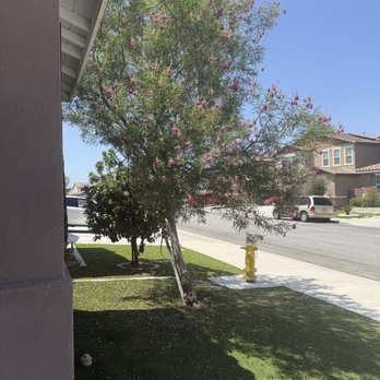 King Landscaping And Tree Services - Gardeners Near Me King Landscaping And Tree Services - Gardeners Near Me