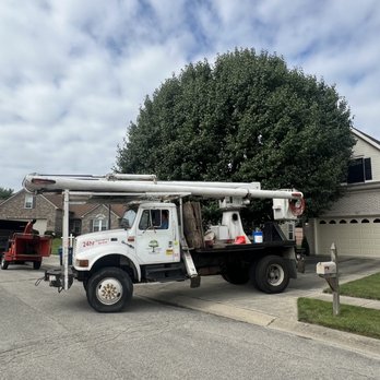 Moore's Tree Service - Tree Services Near Me - Indianapolis, Indiana Moore's Tree Service - Tree Services Near Me - Indianapolis, Indiana