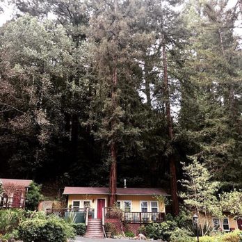 Fern Grove Cottages - Hotels Near Me - Guerneville, California Fern Grove Cottages - Hotels Near Me - Guerneville, California
