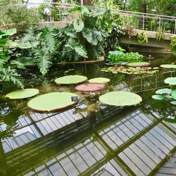 Kew Gardens - Botanical Gardens Near Me