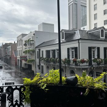 Curio Bistro - View - Cajun/Creole Near Me - New Orleans, Louisiana