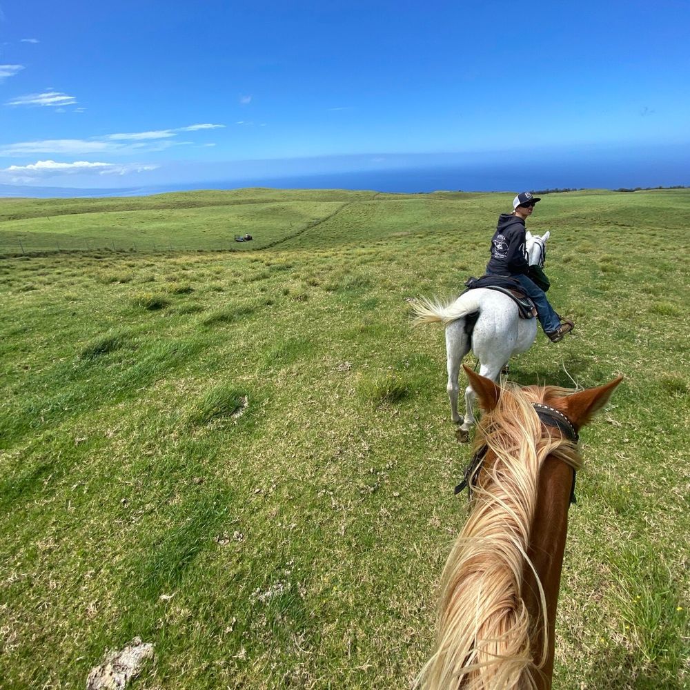 Na'alapa Stables - Horseback Riding Near Me - Kamuela, Hawaii Na'alapa Stables - Horseback Riding Near Me - Kamuela, Hawaii