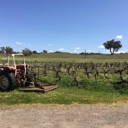 Bell River Cellar Doors - The port is to die for here! Left the place with a crate.