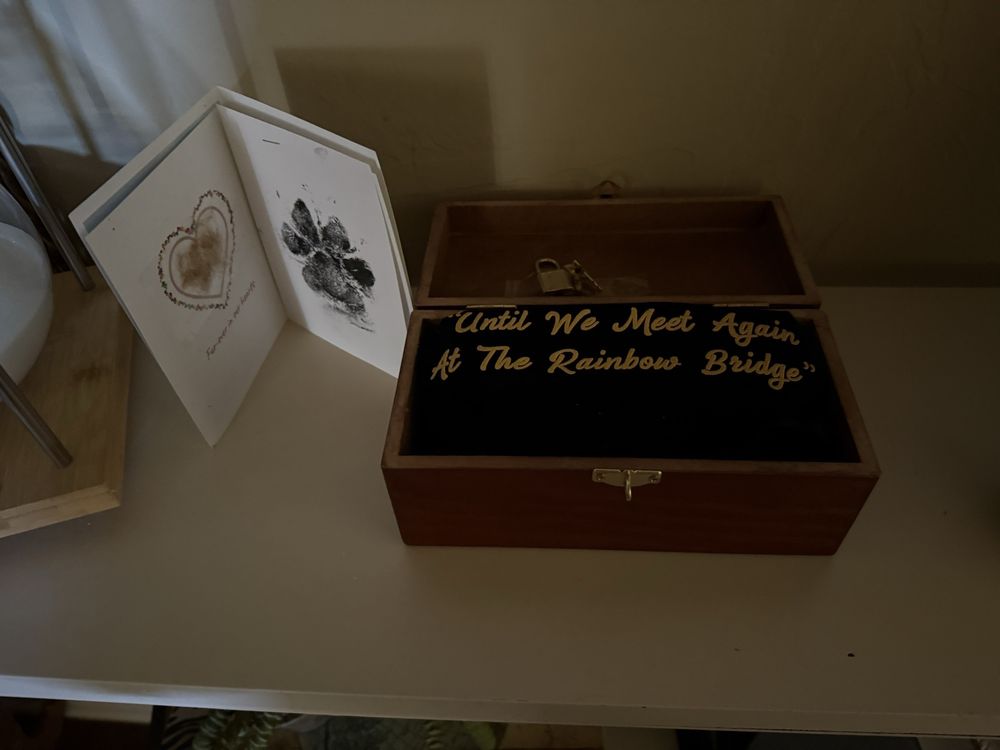 HEAVEN’S RAINBOW BRIDGE PET CEMETERY & CREMATORIUM - Updated March 2026