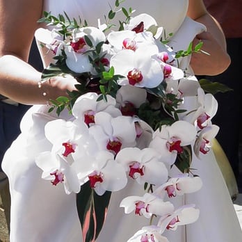 Krista's Orchids - Florists Near Me - Grimsby, Ontario Krista's Orchids - Florists Near Me - Grimsby, Ontario