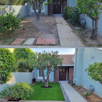 Meadow Landscape - Before and after. - Landscaping Near Me - Costa Mesa, California Meadow Landscape - Before and after. - Landscaping Near Me - Costa Mesa, California