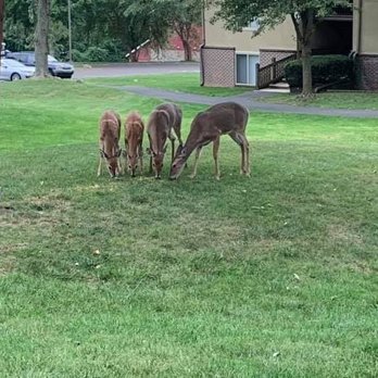 Fox Run Apartments - Apartments Near Me - Warminster, Pennsylvania
