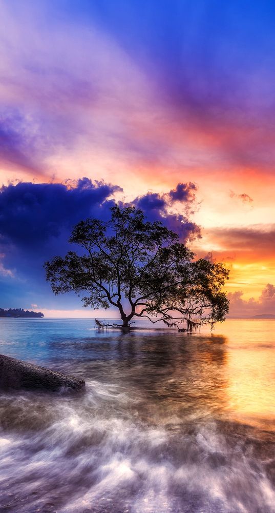 Allison B Spitzer, M.A. - Spitzer Health - grief counselor in Trumbull, CT