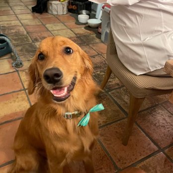Walks and Wags - Pet Training Near Me - Mobile, Alabama