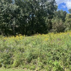 BREC's Bluebonnet Swamp Nature Center
