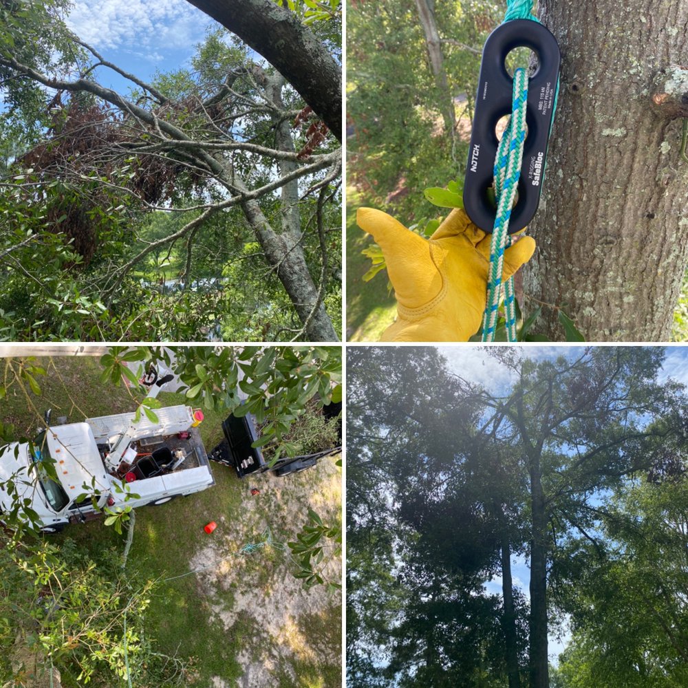 ENVIRONMENTAL CONSTRUCTION SERVICES Updated 2024 Request a Quote