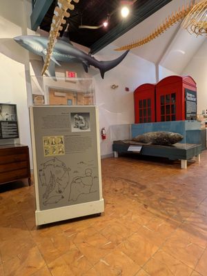 George B. Dorr Museum of Natural History by null