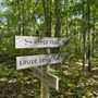Photo of Beech Hill Preserve
