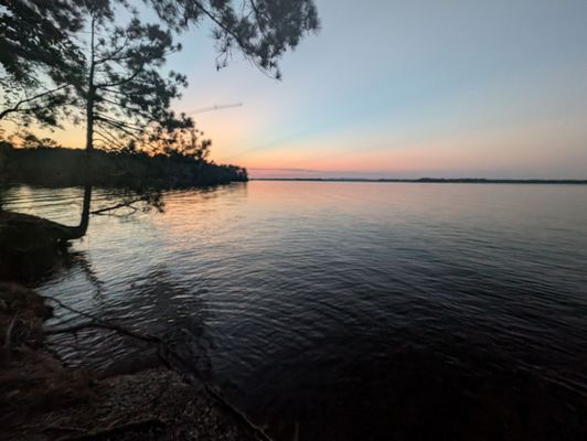 Dreher Island State Park by null