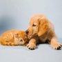 Photo of Milestone Veterinary Hospital