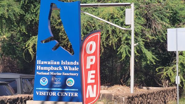 Hawaiian Islands Humpback Whale National Marine Sanctuary Visitor Center by null