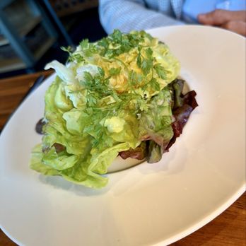 Folia Bar & Kitchen - Local Lettuce Salad - Breakfast & Brunch Near Me - Healdsburg, California Folia Bar & Kitchen - Local Lettuce Salad - Breakfast & Brunch Near Me - Healdsburg, California