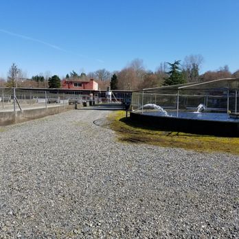 Puyallup Trout Hatchery - Community Service/Non-Profit Near Me - Puyallup, Washington Puyallup Trout Hatchery - Community Service/Non-Profit Near Me - Puyallup, Washington