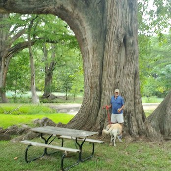 Camp Cold Springs - Huge cypress trees shade picnic tables down by the river. - Resorts Near Me - Concan, Texas Camp Cold Springs - Huge cypress trees shade picnic tables down by the river. - Resorts Near Me - Concan, Texas