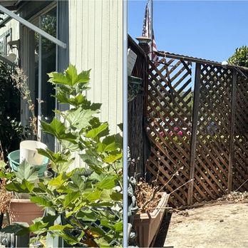 Vema Tree Service - West side - Tree Services Near Me Vema Tree Service - West side - Tree Services Near Me